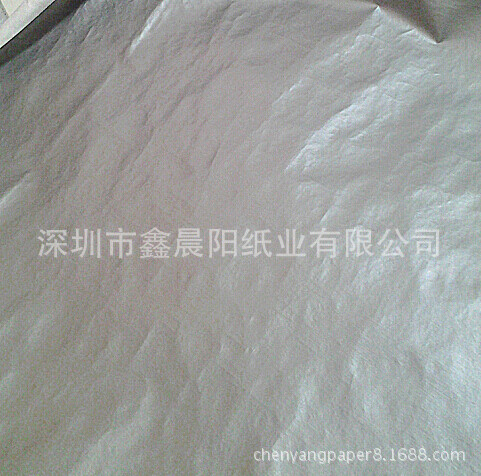 防水防刮杜邦纸户外背包