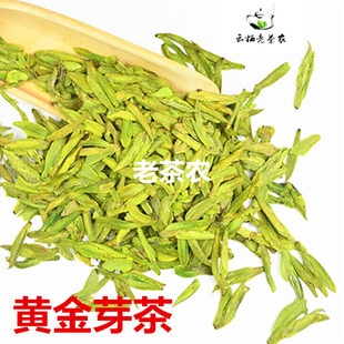 云栖老茶农 批发特级龙型黄金芽茶 黄金茶  黄茶 新茶 高档 黄芽 浙江