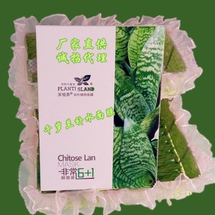 韩国植物芙植素面膜系列 千岁兰补水美白蚕丝面膜 7片装包邮