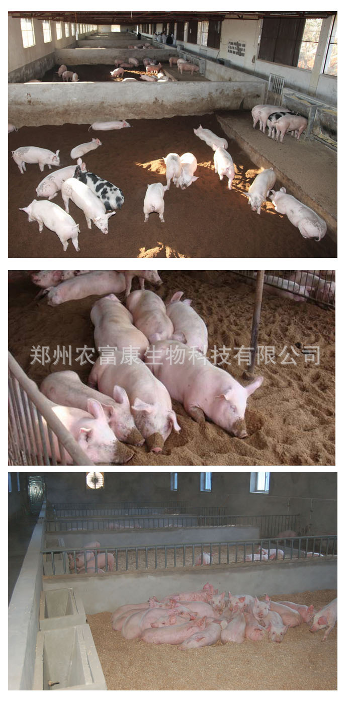 实验做50平米的养猪发酵床的成本