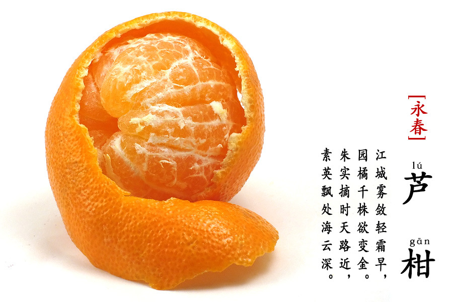 正宗永春芦柑椪柑新鲜柑橘橘子桔子年货送礼批
