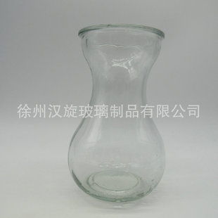 厂家订制风信子水培玻璃花瓶绿萝水仙玻璃瓶新款水中花玻璃瓶