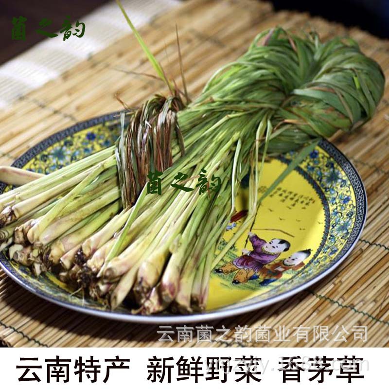 产地低价批发 新鲜蔬菜 生鲜野生香茅草 调味香料 供应酒店餐厅