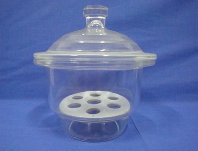 240mm透明玻璃干燥器玻璃仪器附瓷板干燥皿白色玻璃干燥器