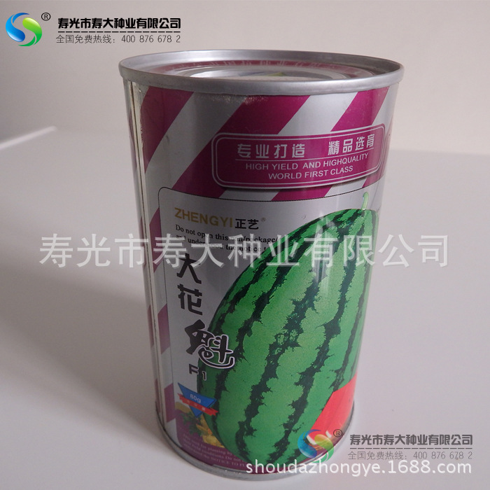 正艺花瓜王西瓜种子高产抗病品相佳批量种植西