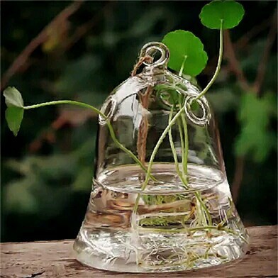 三孔铃铛造型玻璃造景瓶 微景观苔藓瓶 水培花瓶