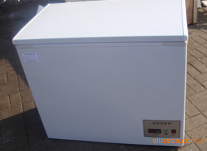 -40度 低温 冷冻箱 低温箱 冰柜 低温柜 130L
