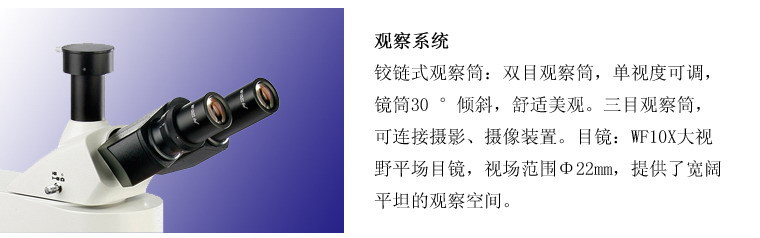 LED落射荧光显微镜L3201彩图1