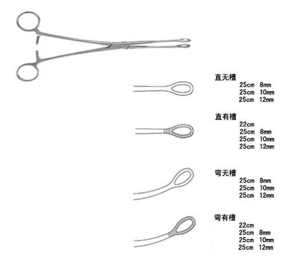 海棉钳-卵圆钳 直头 弯头25cm 优质2cr13不锈钢