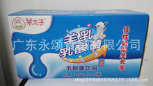 Nhà máy trực tiếp cừu hoàng tử sữa vi khuẩn axit lactic uống 350ml Sữa dê