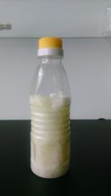 棕榈油行业