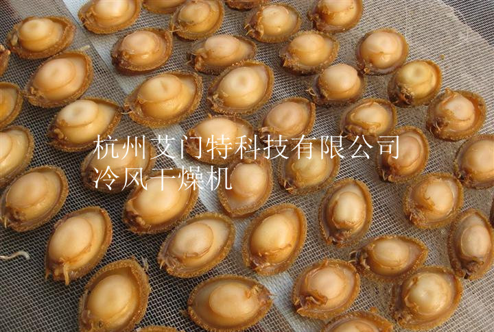 鲍鱼干 (2)