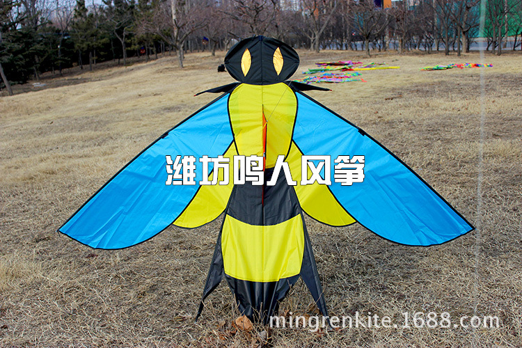 【潍坊图纸v图纸2.1米大风筝风筝大蜜蜂兽黄蜂魔兽世界栏二级图片