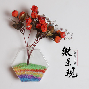 飞鹤 悬挂式墙壁花瓶 透明菱形玻璃水培装饰器皿 创意居家装饰品