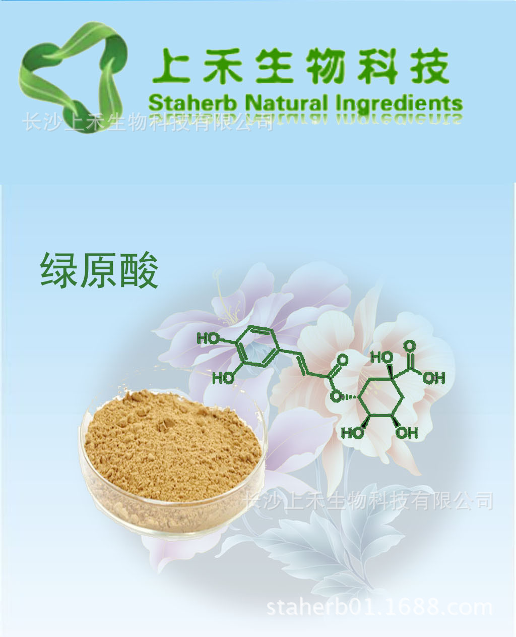 金银花绿原酸12%-98%hplc