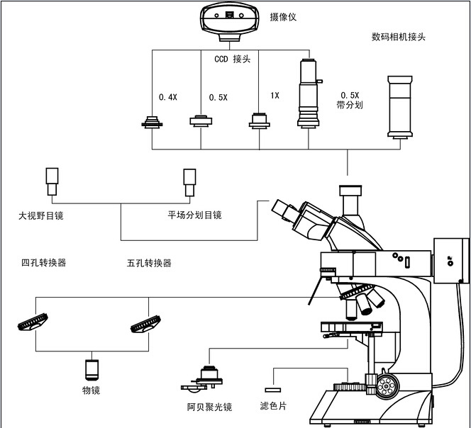 LED落射荧光显微镜L3201图解