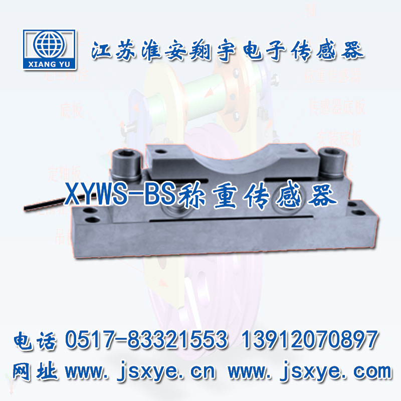 XYWS-BS軸承座稱重傳感器