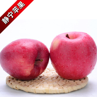 苹果 甘肃静宁  红富士苹果 70mm  5斤起批