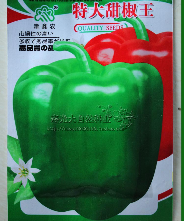 辣椒种子 甜椒种子 蔬菜种子 特大甜椒王 阳台蔬菜种子 菜种批发