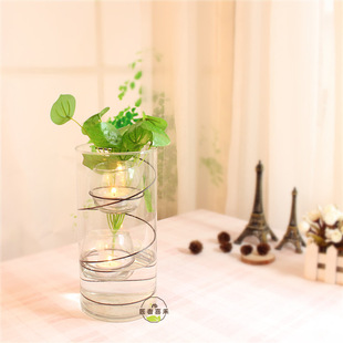 水培玻璃器皿 鹅蛋透明玻璃圆桶花瓶三件套花瓶可养植物小鱼摆饰