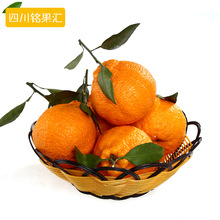 【橘子 桔子 橙子】橘子 桔子 橙子价格\/图片_橘