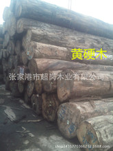 热销巴新黄硬木新黄胆木热销黄硬原木板材家具工程材
