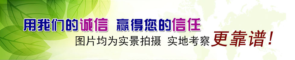 中石油2