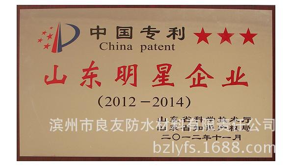 中国专利山东明星企业奖牌