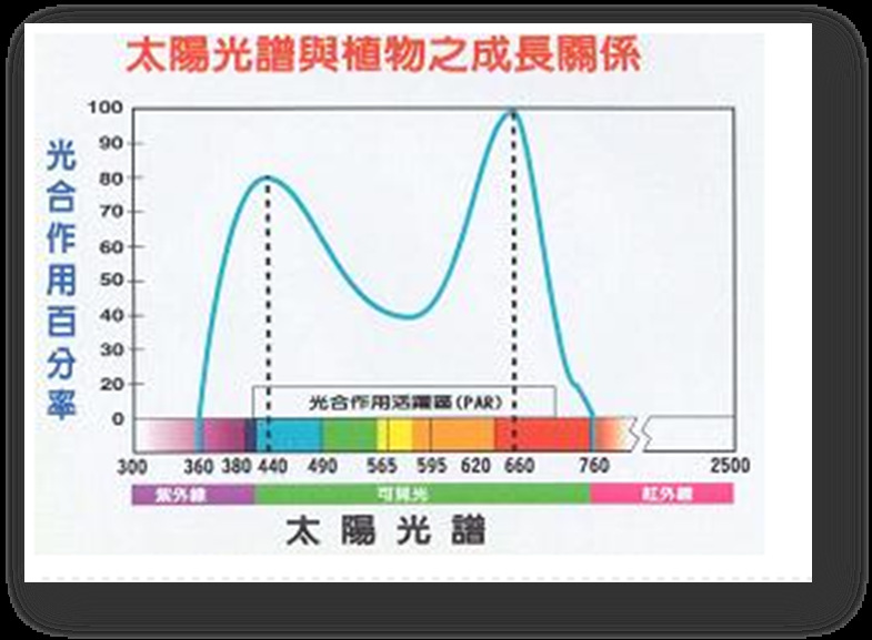 供应led植物生长灯珠2835蓝光450nm纯金线铜支架贴片发光二极管