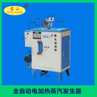 厂家宝山牌免检6kw9kw12kw小型简易蒸汽机 电加热蒸汽发生器