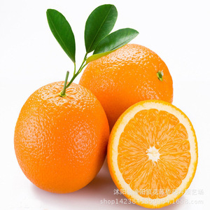 【血橙子】血橙子价格\/图片_血橙子批发\/采购