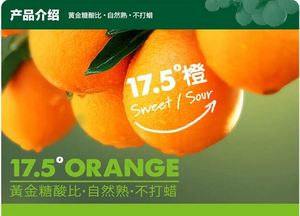 【上海橙】上海橙价格\/图片_上海橙批发\/采购