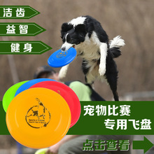 狗 飞盘