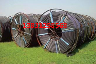 u=4293346349,939440413&fm=15&g