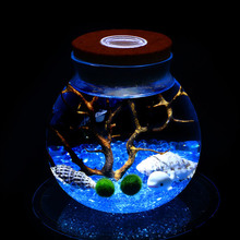 Bán buôn vi tảo bóng Eco Nút chai được chiếu sáng cảnh quan sinh thái chiếu sáng lon chai thủy tinh tròn kín Bình hoa