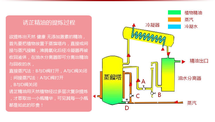 京東版催欲詳情頁_r6_c1