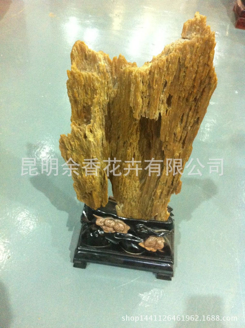 树化石 天然 木化石 干料
