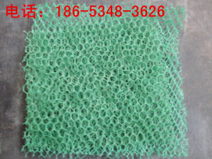 护坡三维土工网垫厂家价格低，塑料双拉网