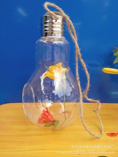 厂家直销 微景观灯泡花瓶透明玻璃插花养花水培装饰器皿 工艺品