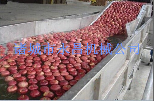 sus304红富士苹果清洗机--荣昌水果清洗设备