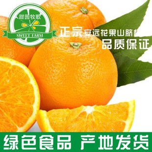 甜园牧歌纽贺尔橙子安远脐橙有机橙三百山脐橙10斤包邮水果试吃