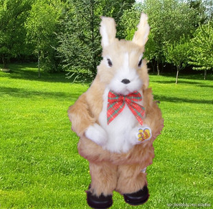 音乐跳舞兔仿真兔儿童玩具毛绒玩具扭扭兔唱歌兔电动玩具