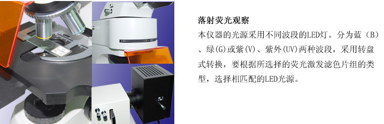 LED落射荧光显微镜L3201彩图3