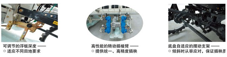 插4