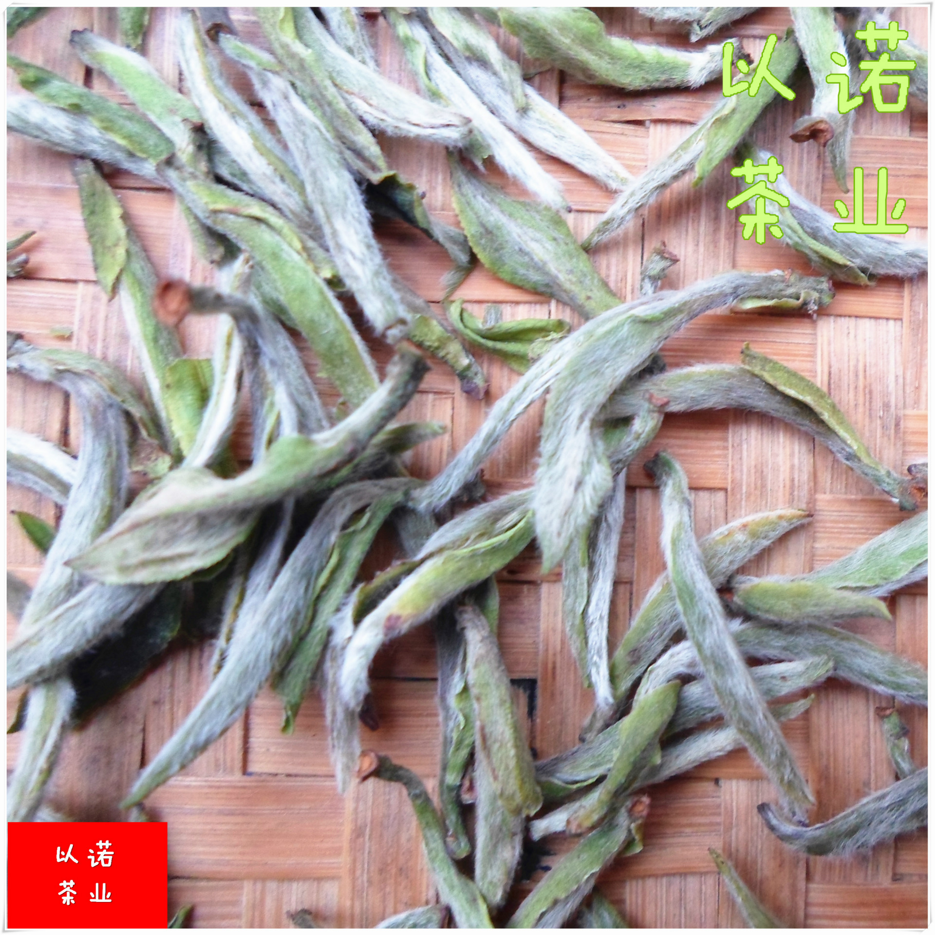 2015年野生白毫银针福鼎白茶饼茶叶老白茶陈年 厂家直销量大从优