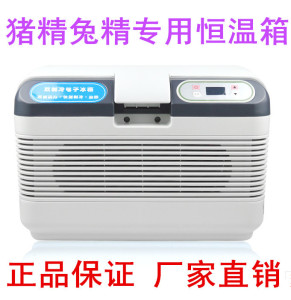 新春走底层丨牛羊肉出疆搭上了“电商快车”