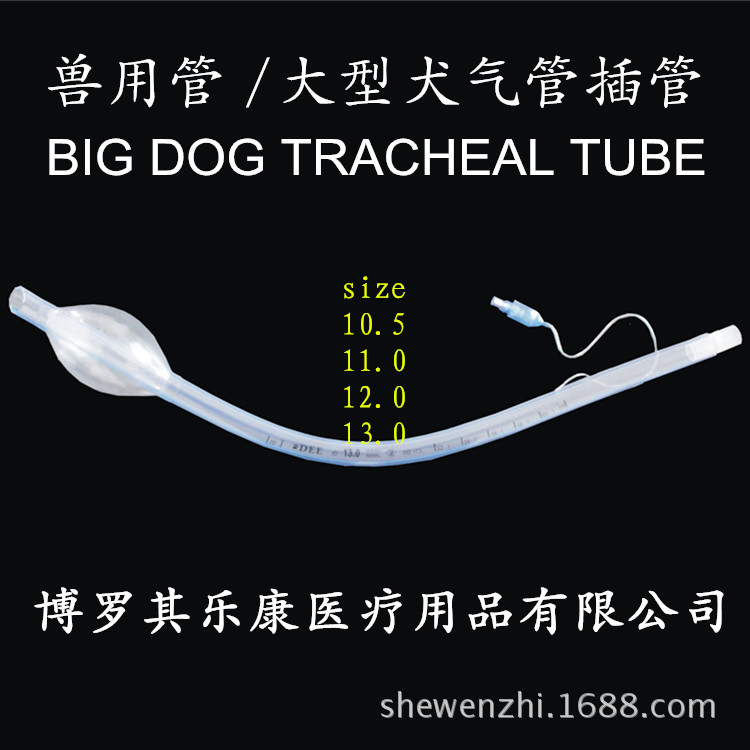 兽用管 大型犬气管插管