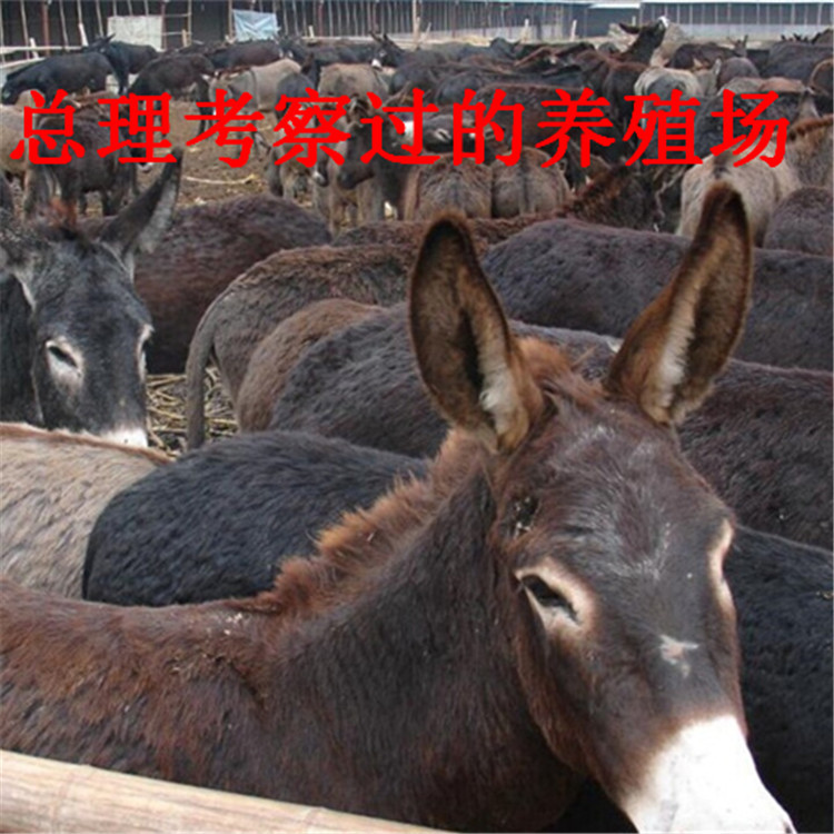 2282736798_576830022.jpg?__r__=1438753577984
