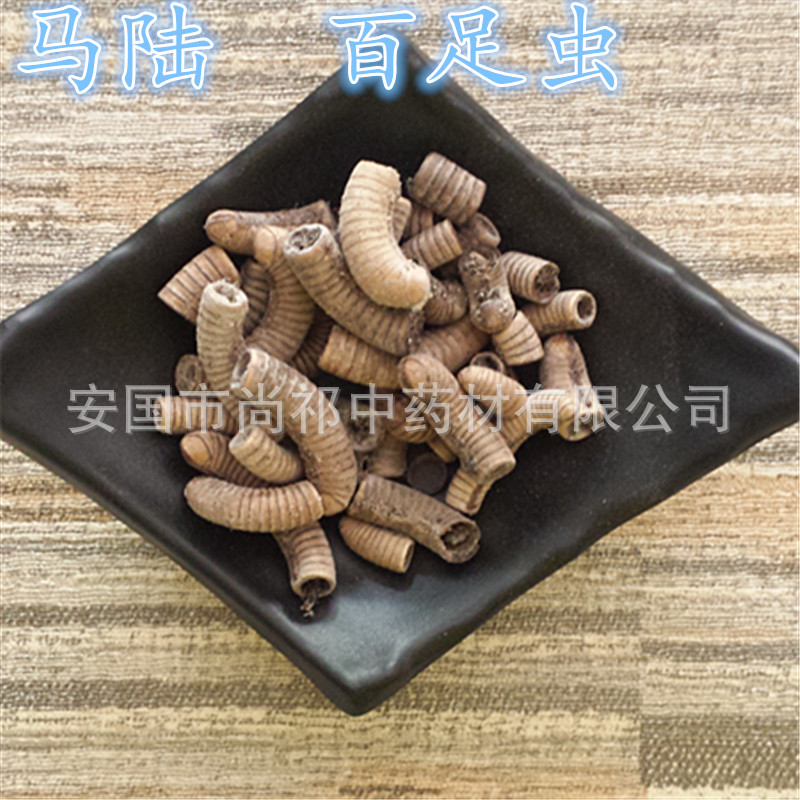 百足虫 千足虫 马陆虫 尚祁虫类大全 中药材批发 药店供货