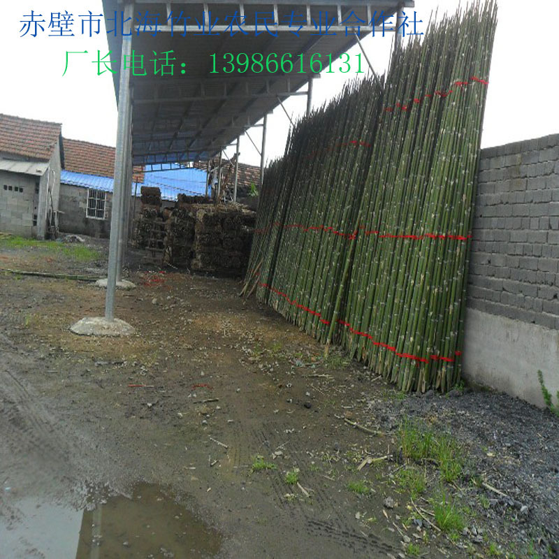 【30年专业品牌】大量供应各类优质水竹,菜架竹 竹菜架